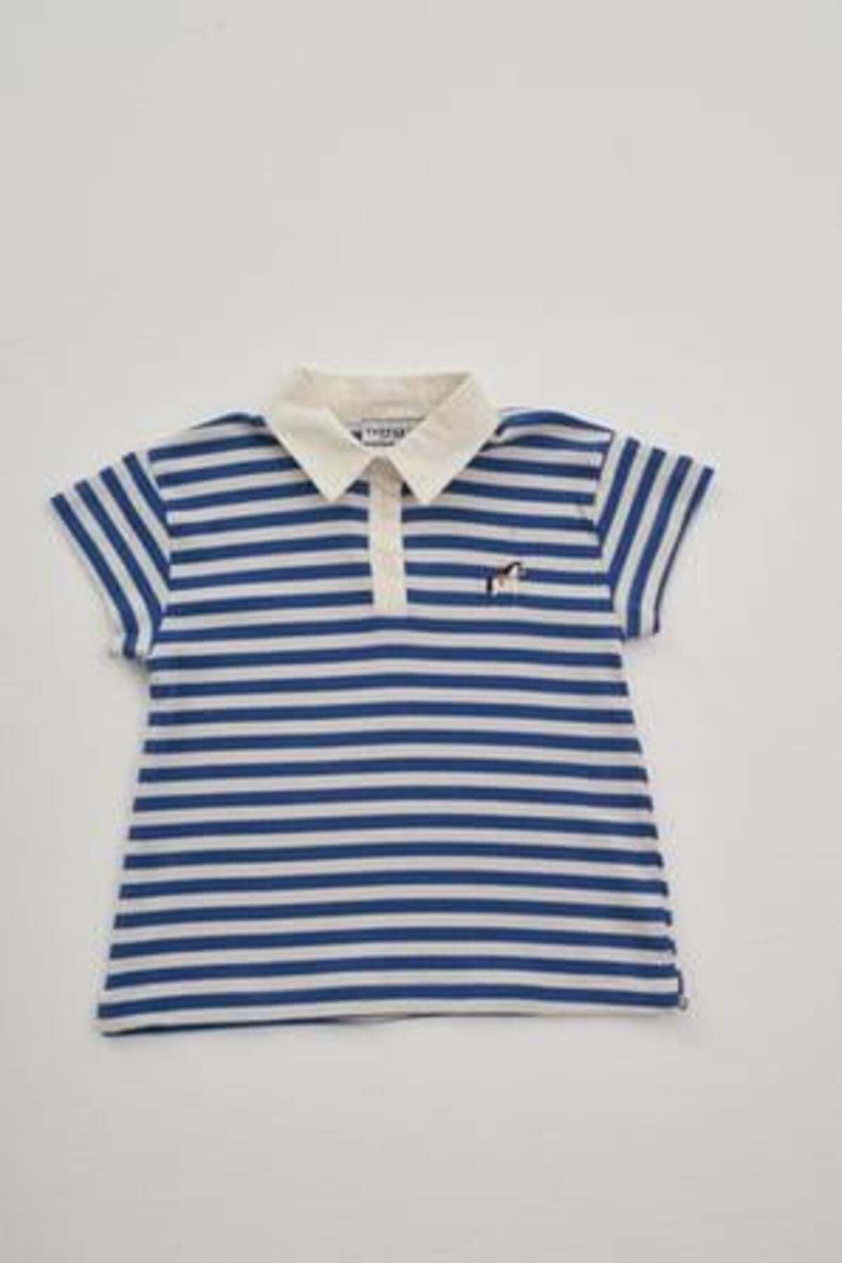 Polo Collar Oversize T-Shirt Thick Striped Blue