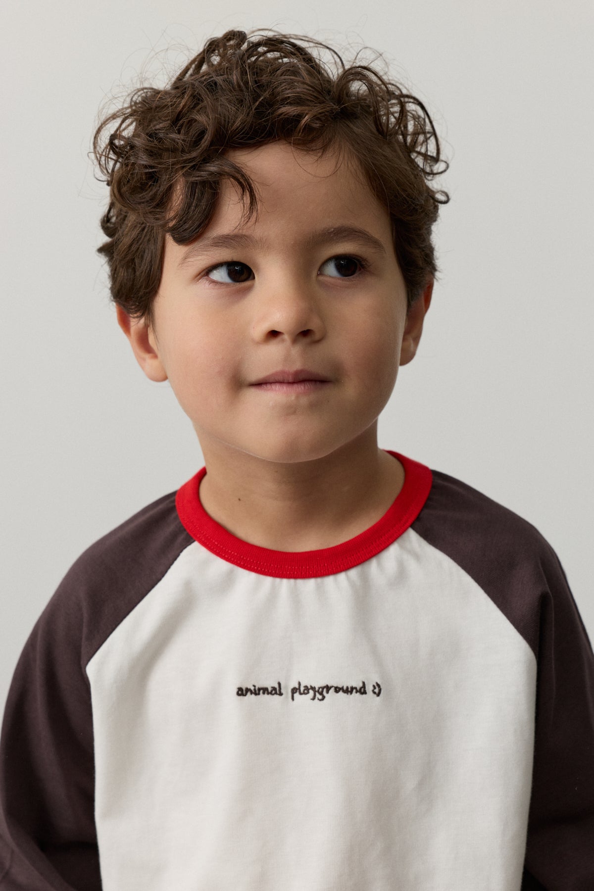 Reglan Kol Tişört Kahverengi