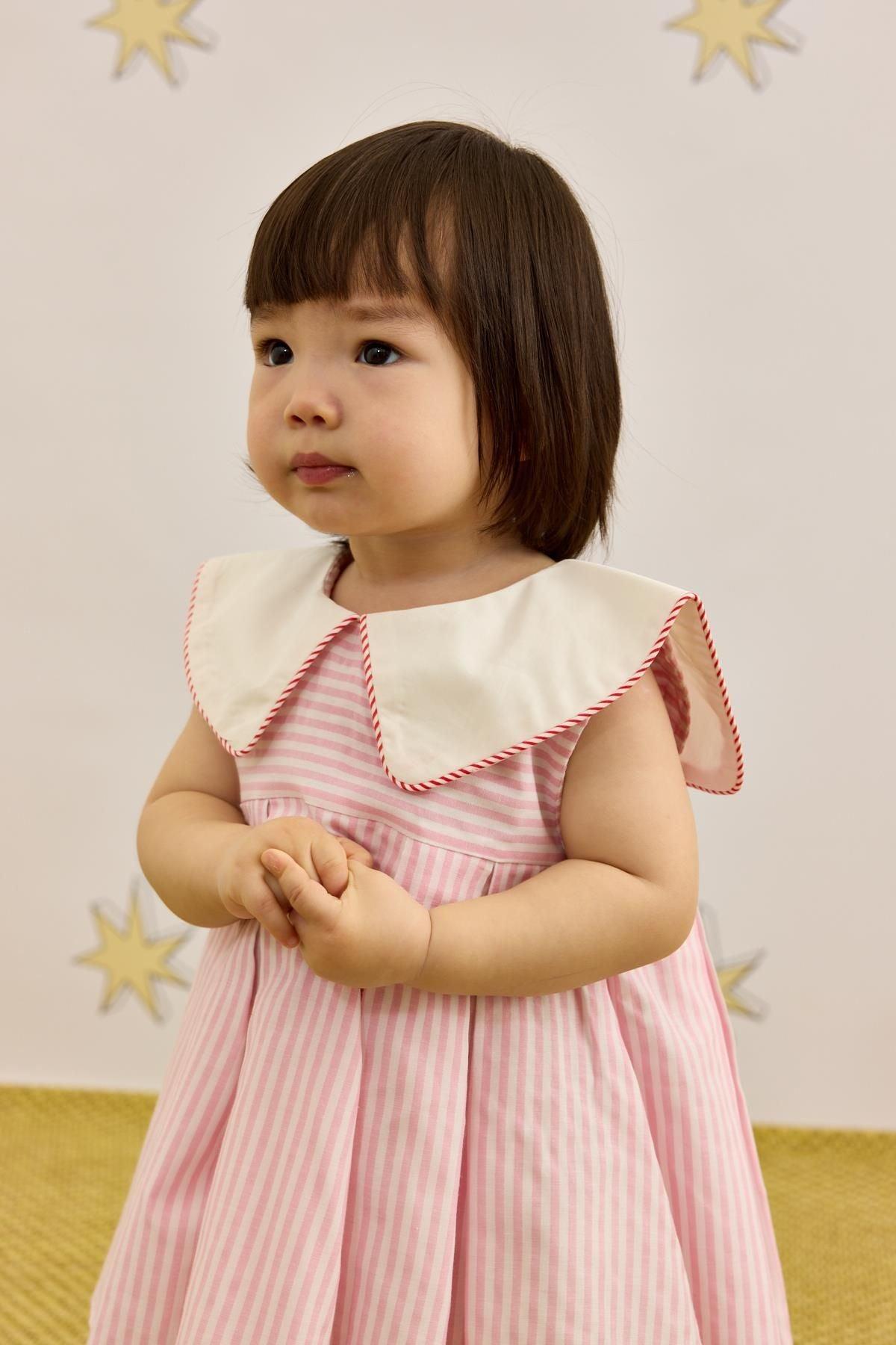 V Yakalı Desenli Elbise Çizgili Pembe