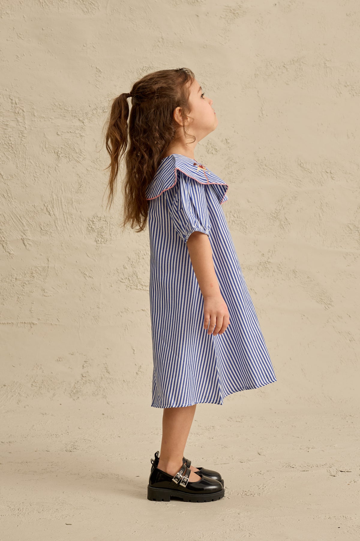 At Nakışlı Elbise Çizgili Mavi